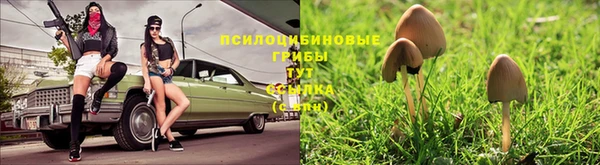 синтетический гашиш Михайловск