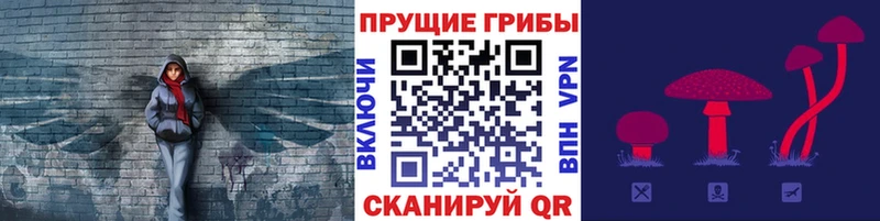 Псилоцибиновые грибы Cubensis  купить закладку  Тетюши 